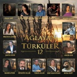 Ağlayan Türküler – Şahı Gördüm (Ergün Efe) Mp3 Dinle & İndir | Mp3sayar