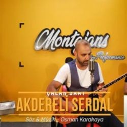 Akdereli Serdal – Çalar Saat Mp3 Dinle & İndir | Mp3sayar