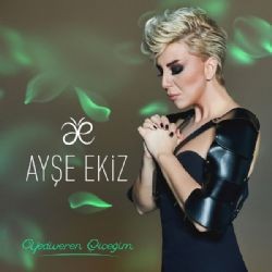 Ayşe Ekiz – Haydi Abbas Mp3 Dinle & İndir | Mp3sayar