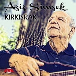 Aziz Şimşek – Vurulmuşum Dağ Başında Mp3 Dinle & İndir | Mp3sayar