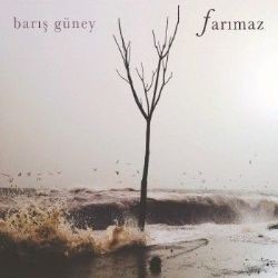 Barış Güney – Nedir Ey Erenler Mp3 Dinle & İndir | Mp3sayar