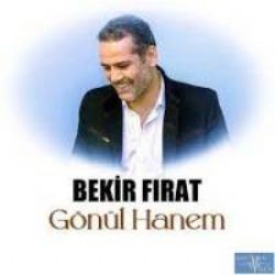 Bekir Fırat – Gidiyorum Mp3 Dinle & İndir | Mp3sayar