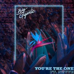 Big Gigantic – Youre The One ft Nevve Mp3 Dinle & İndir | Mp3sayar