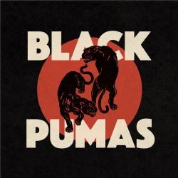 Black Pumas – Colors Mp3 Dinle & İndir | Mp3sayar