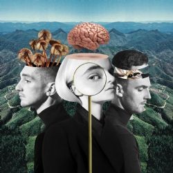 Clean Bandit – Out At Night ft Kyle & Big Boi Mp3 Dinle & İndir | Mp3sayar