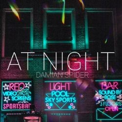 Damian Spider – At Night Mp3 Dinle & İndir | Mp3sayar