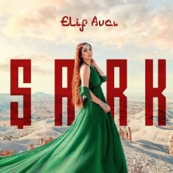 Elif Avcı – Yallah Şoför Mp3 Dinle & İndir | Mp3sayar