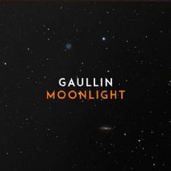 Gaullin – Moonlight Mp3 Dinle & İndir | Mp3sayar