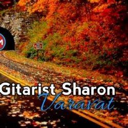 Gitarist Sharon – Bir Qurumuş Çiçek Mp3 Dinle & İndir | Mp3sayar