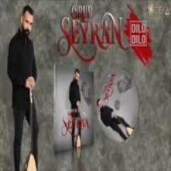 Grup Seyran – Çilem Doldumu Mp3 Dinle & İndir | Mp3sayar