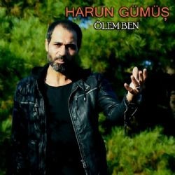 Harun Gümüş – Erzincan Mp3 Dinle & İndir | Mp3sayar