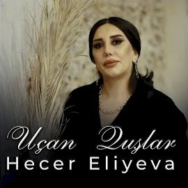 Hecer Eliyeva – Uçan Quşlar Mp3 Dinle & İndir | Mp3sayar