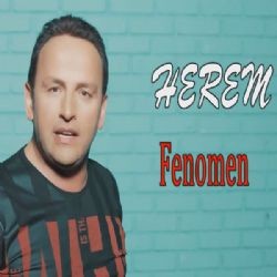 Herem – Arı Soksun Dilini Mp3 Dinle & İndir | Mp3sayar