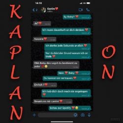 Kaplan – On Mp3 Dinle & İndir | Mp3sayar