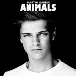 Martin Garrix – Animals Mp3 Dinle & İndir | Mp3sayar