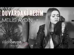 Melis Aydın – Gitme Kal Diyemedim Mp3 Dinle & İndir | Mp3sayar