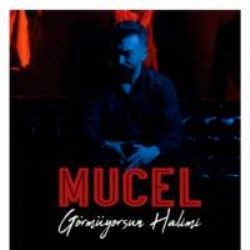 Mucel – Görmüyorsun Halimi Mp3 Dinle & İndir | Mp3sayar