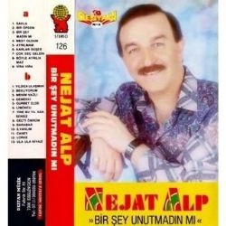 Nejat Alp – Bir Şey Unutmadın Mı Mp3 Dinle & İndir | Mp3sayar