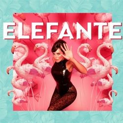 NK – Elefante Mp3 Dinle & İndir | Mp3sayar