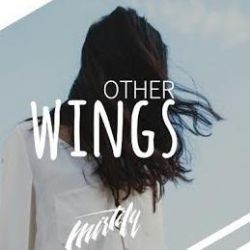 Other – Wings Mp3 Dinle & İndir | Mp3sayar