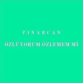 Pınar Can – Özlüyorum Özlemem Mi Mp3 Dinle & İndir | Mp3sayar