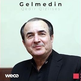 Qedir Qızılses – Gelmedin Mp3 Dinle & İndir | Mp3sayar