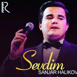 Sanjar Halikov – Sevdim Mp3 Dinle & İndir | Mp3sayar