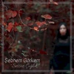 Şebnem Görkem – Sessiz Çığlık Mp3 Dinle & İndir | Mp3sayar