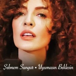 Şebnem Sungur – Uyumasın Beklesin Mp3 Dinle & İndir | Mp3sayar