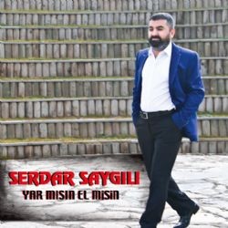 Serdar Saygılı – Oy Gelin Mp3 Dinle & İndir | Mp3sayar