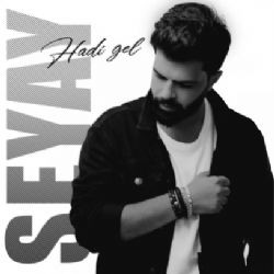 Seyay – Hadi Gel Mp3 Dinle & İndir | Mp3sayar