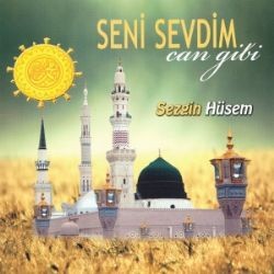 Sezgin Hüsem – Seni Sevdim Can Gibi Mp3 Dinle & İndir | Mp3sayar