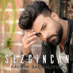 Sezgincan – Kalbim Saçmalıyor Mp3 Dinle & İndir | Mp3sayar