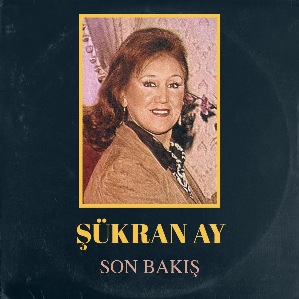 Şükran Ay – Ne Olursun Güzelim Mp3 Dinle & İndir | Mp3sayar