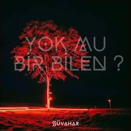 Süvahar – Yok Mu Bir Bilen Mp3 Dinle & İndir | Mp3sayar