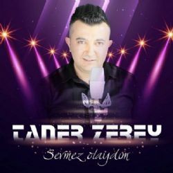 Taner Zerey – Sevmez Olaydım Mp3 Dinle & İndir | Mp3sayar