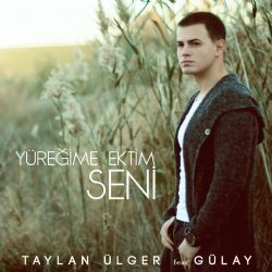 Taylan Ülger – Yüreğime Ektim Seni (İz Versiyon) Mp3 Dinle & İndir | Mp3sayar