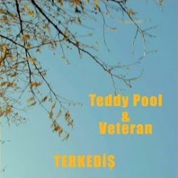 Teddy Pool – Esaret ft Veteran Mp3 Dinle & İndir | Mp3sayar