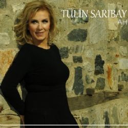 Tülin Sarıbay – Sevinç Mp3 Dinle & İndir | Mp3sayar