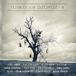 Türküler Özümüz – Şu Kanlı Zalim (Veysel Aydın) Mp3 Dinle & İndir | Mp3sayar