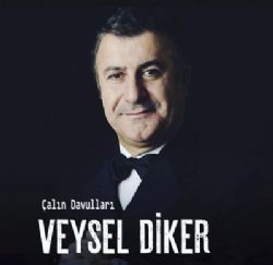 Veysel Diker – Bahçada Yeşil Çınar Mp3 Dinle & İndir | Mp3sayar