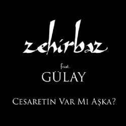 Zehirbaz – Cesaretin Var Mı Aşka ft Gülay Mp3 Dinle & İndir | Mp3sayar