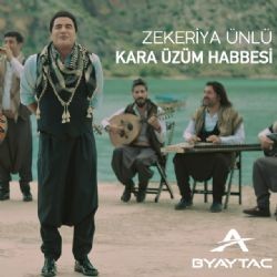 Zekeriya Ünlü – Baboş Mp3 Dinle & İndir | Mp3sayar