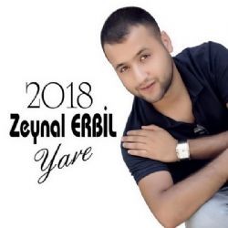 Zeynal Erbil – Anlamaz (2018) Mp3 Dinle & İndir | Mp3sayar