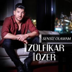 Zülfikar Özer – Çok Seviyorum Mp3 Dinle & İndir | Mp3sayar