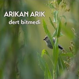 Arıkan Arık – Giderim Giderim Mp3 Dinle & İndir | Mp3sayar