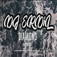 Dj Erdil – Diamond Mp3 Dinle & İndir | Mp3sayar