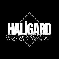 Dj Erdil – Haligard Mp3 Dinle & İndir | Mp3sayar