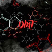 Navir – Dmt Mp3 Dinle & İndir | Mp3sayar