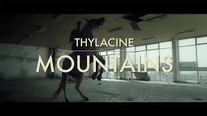 Thylacine – Mountains Mp3 Dinle & İndir | Mp3sayar